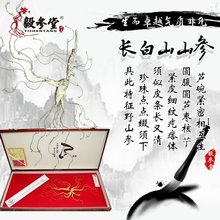 高档送人长白山野山参25克60礼品盒1