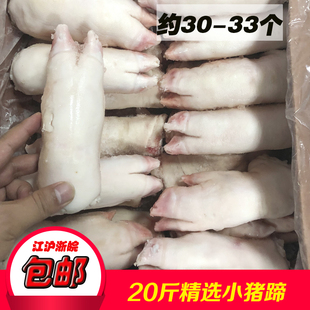 包邮 小猪蹄 整箱20斤30个左右 短猪蹄 江浙沪皖 短猪手 新鲜冷冻