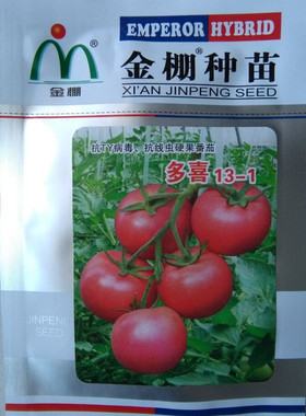 金鹏系列番茄种子粉果西红柿 金棚一号 三号 10号  金鹏荣耀 多喜
