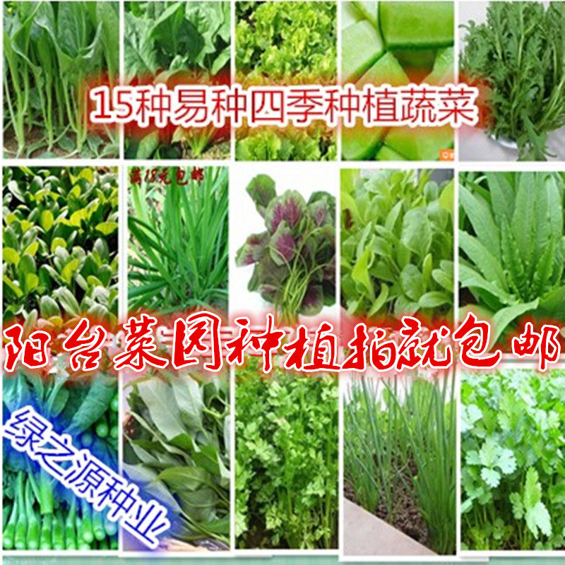 套餐阳台盆栽庭院蔬菜种子包邮