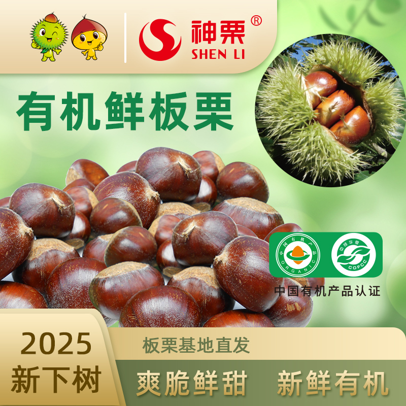 【现货】2025年神栗新鲜有机生板栗燕山宽城5斤装2.5斤装产地直发