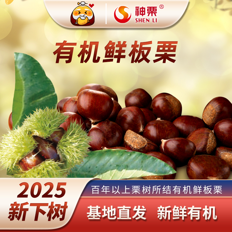 【现货】2025年百年燕山新鲜有机生板栗5斤装宽城特产产地直发