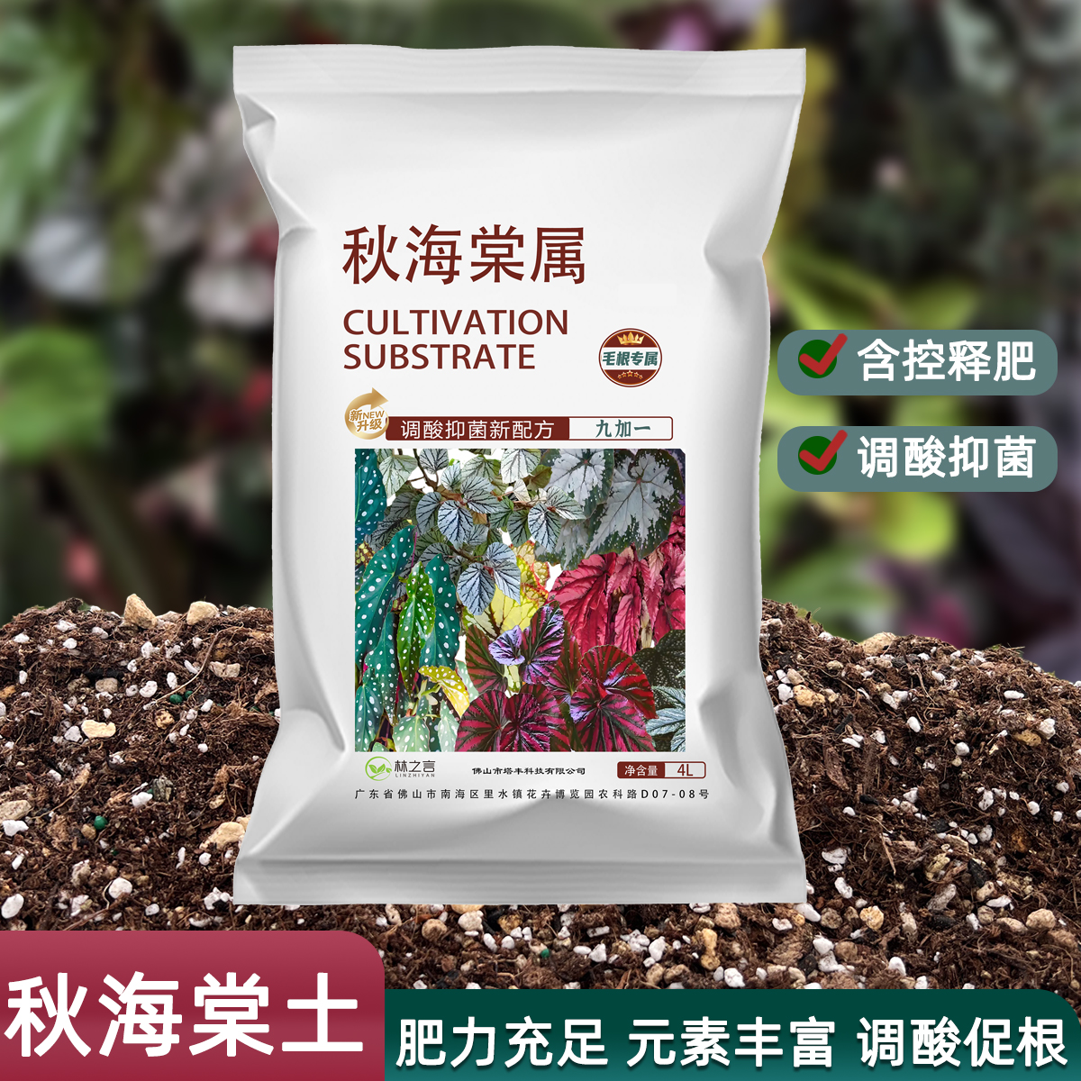 秋海棠专用土种植盆栽鳟鱼乌头杂营养土竹节阳台室内蟆叶泥炭土壤