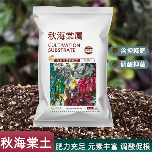 秋海棠专用土种植盆栽鳟鱼乌头杂营养土竹节阳台室内蟆叶泥炭土壤