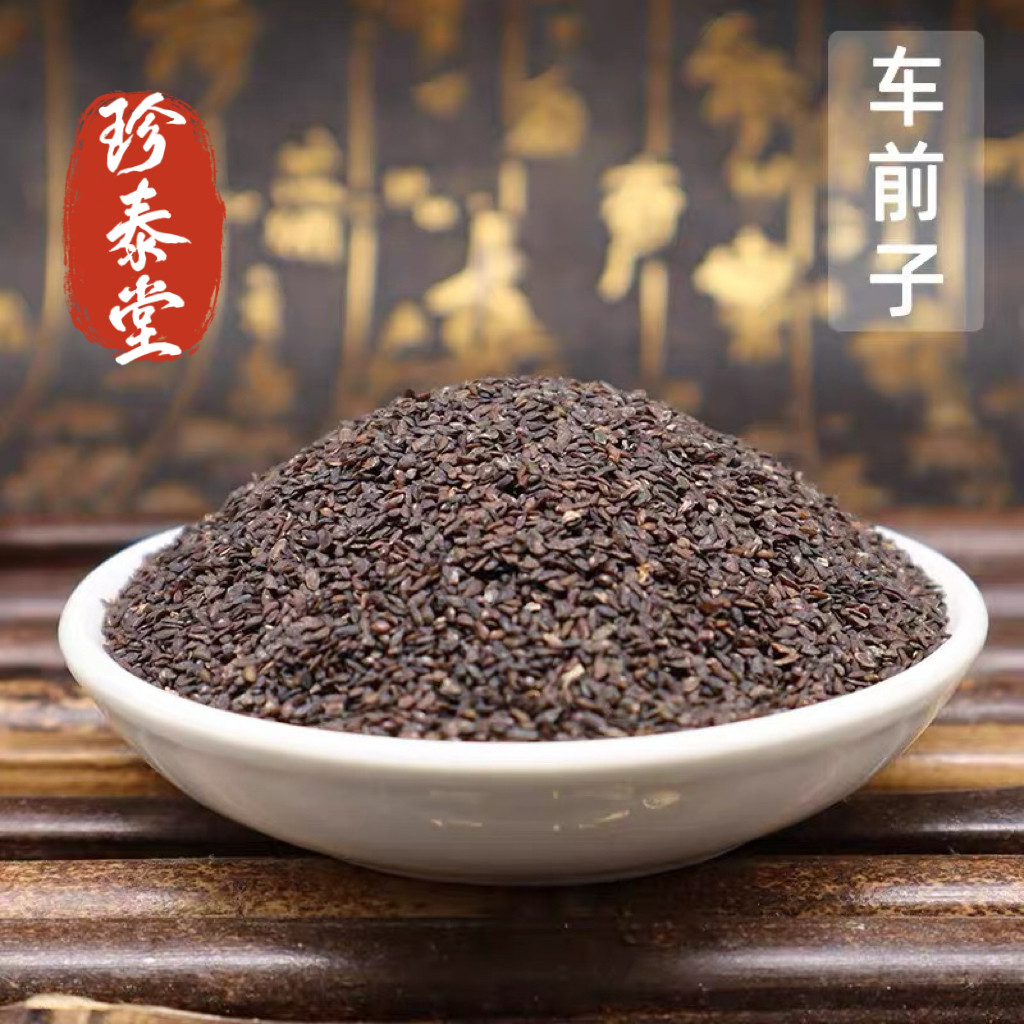 车前子材车前子另售炒车前子 土茯苓 玉米须 龙胆草 泽泻木通