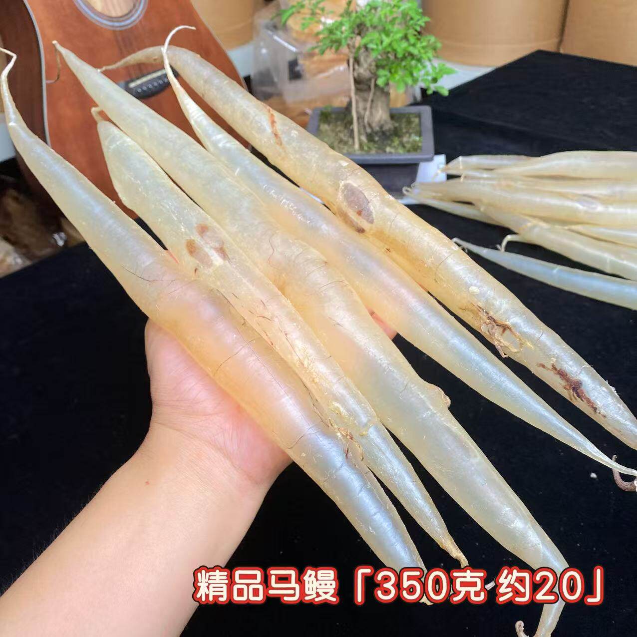 生哥鱼胶 鳗鱼胶麻鱼胶花胶正品 品质马鳗  智力记忆犹新
