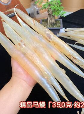 生哥鱼胶 鳗鱼胶麻鱼胶花胶正品 品质马鳗  智力记忆犹新