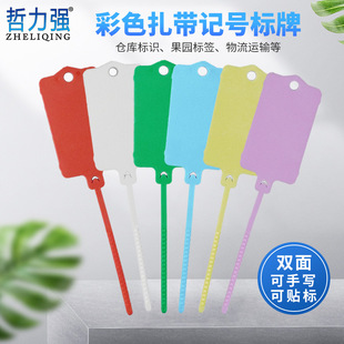 可定制一体式挂签塑料吊牌可重复使用分类封条扎带记号标签扎带