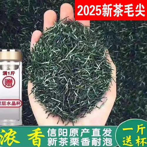 明前毛尖新茶特级2025年茶叶