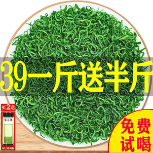 绿茶茶叶信阳毛尖2024新茶信阳绿茶浓香耐泡嫩芽云雾毛尖茶包运费