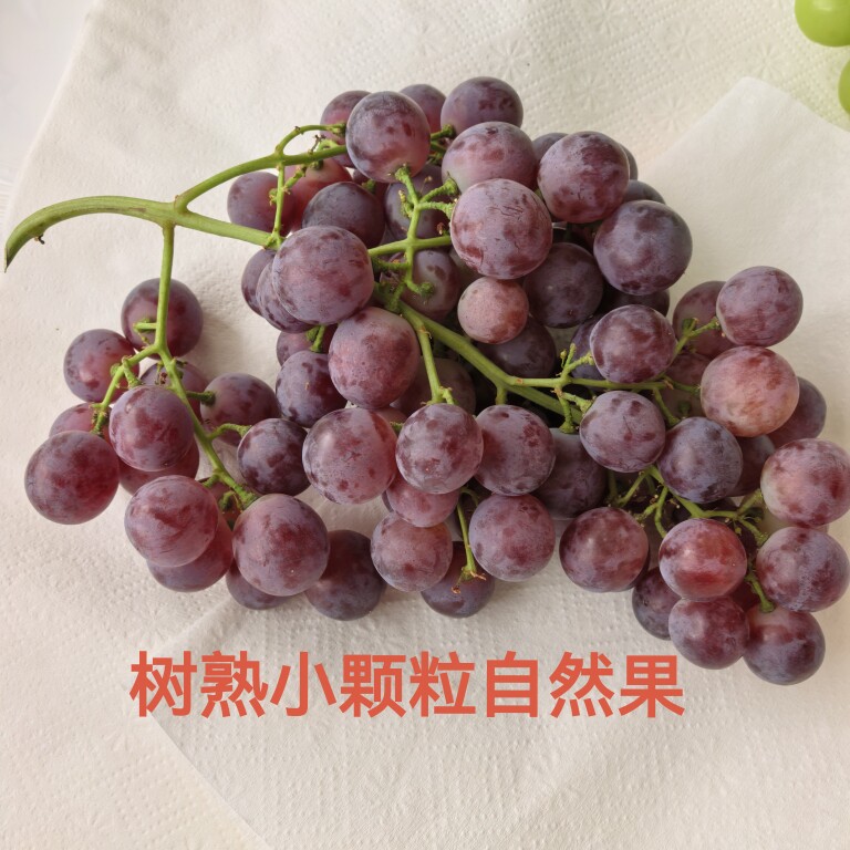 云南红提葡萄酸甜新鲜水果3斤包邮树上熟有籽小颗粒中通冷链