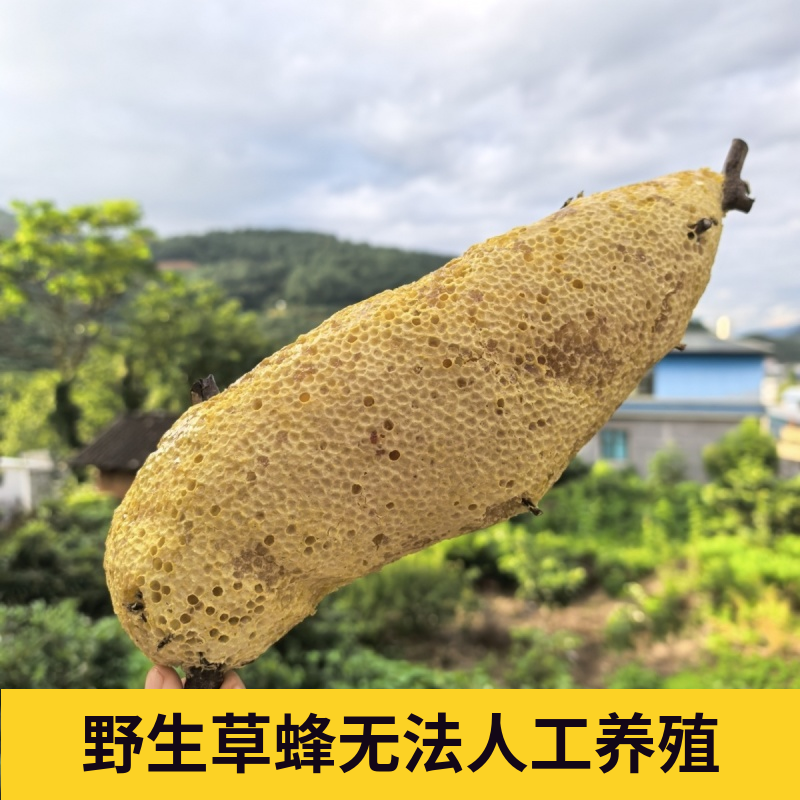野生小挂蜜草蜂树挂蜜120一斤