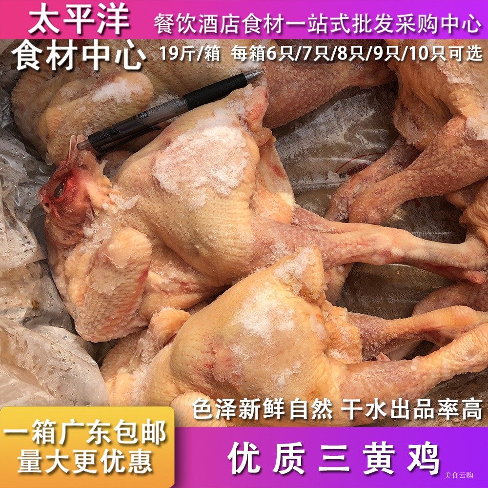 冷冻冰鲜直脚白羽快餐包邮三黄鸡