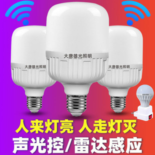 声控感应灯人体雷达感应灯家用过道走廊楼道led插电式小夜灯节能