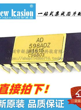 全新原装 AD598AD DIP-20 直插AD598SD 传感器接口 芯片