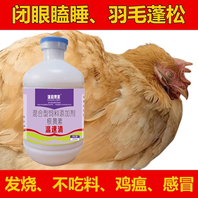 汉和集美发烧感冒鸡瘟鸡感冒鸡瘟