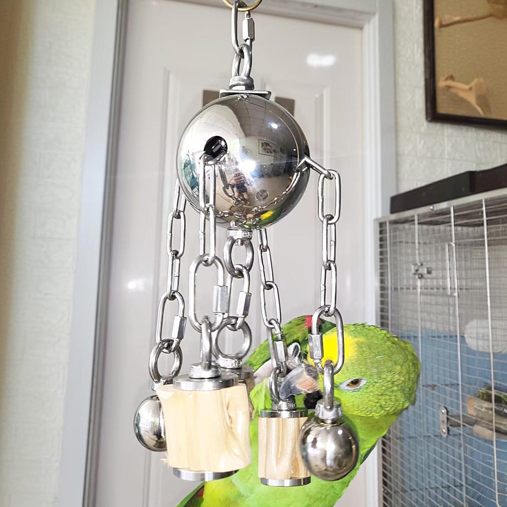 中大型鹦鹉啃咬玩具不锈钢配硬木花椒木磨嘴耐解闷大球串鸟笼挂件,宠物/宠物食品及用品,鸟玩具,淘宝优惠券,粉丝福利购,淘宝优惠卷