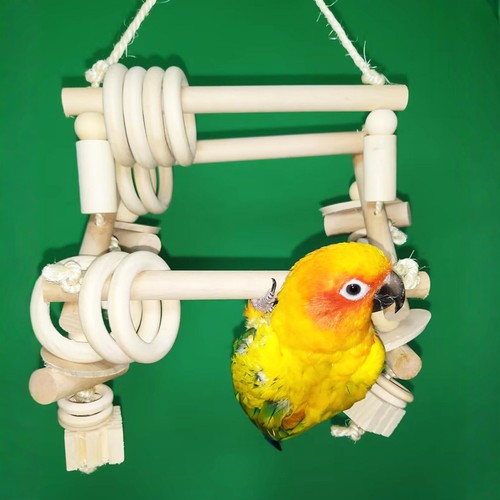 鹦鹉原色啃咬玩具磨嘴站杠秋千