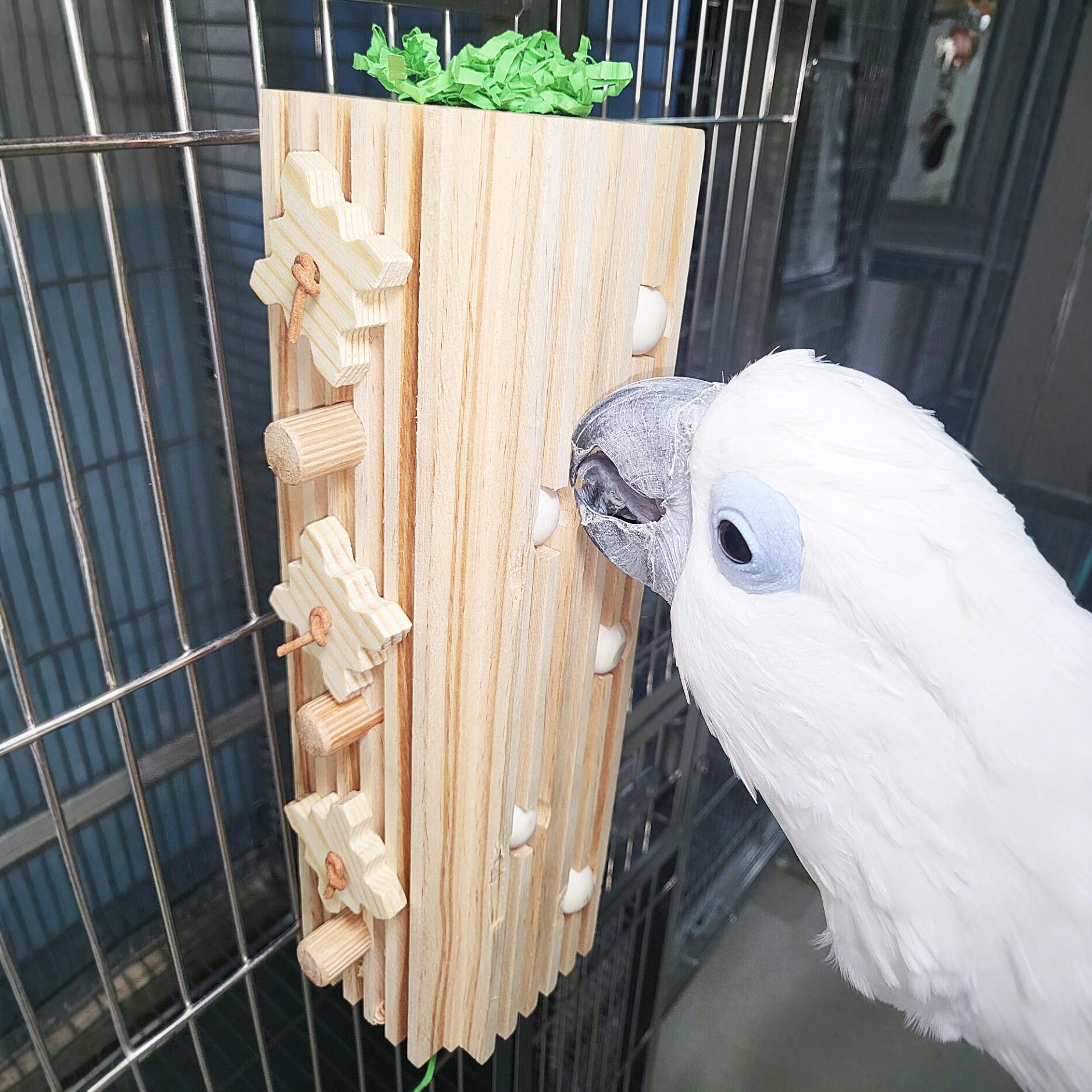 中大型鹦鹉啃咬玩具原色木块磨嘴