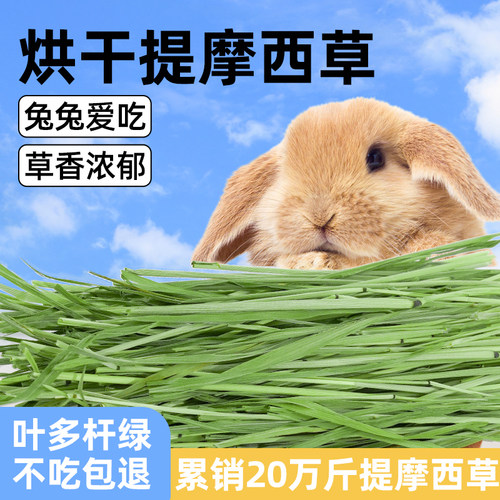 2025提摩西草干草兔子粮草食用兔粮饲料豚鼠荷兰猪的提莫晒干牧草 - 封面