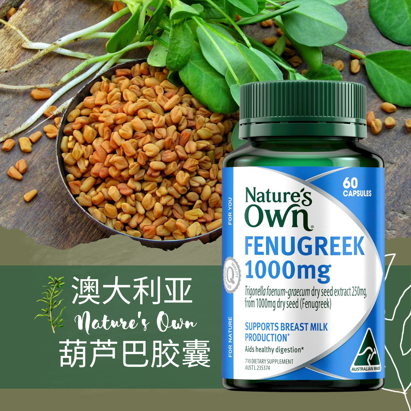 澳洲原装Nature’s Own葫芦巴籽精华 消化不适下奶哺乳营养辅助