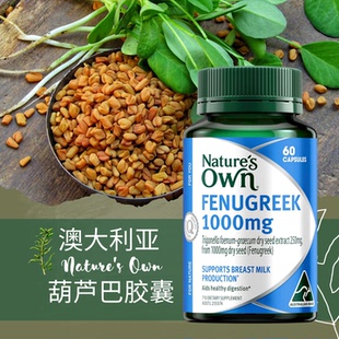 消化不适下奶哺乳营养辅助 Own葫芦巴籽精华 澳洲原装 Nature’s