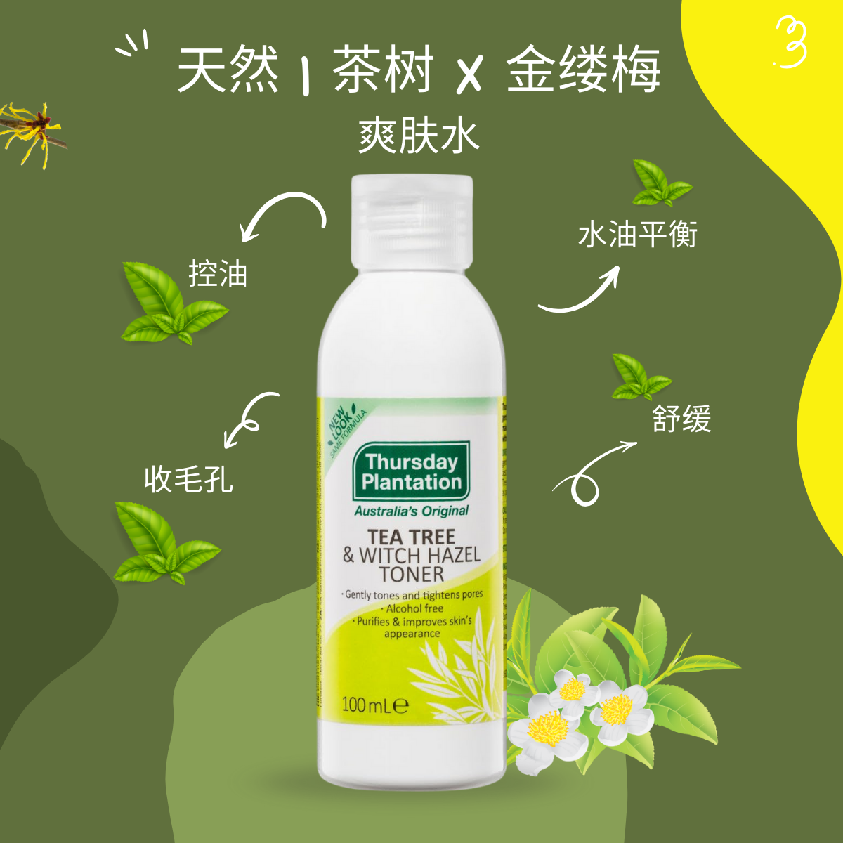 澳洲茶树金缕梅爽肤水控油祛痘