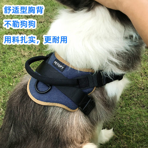 胸背带柴犬背心式柯基牵引