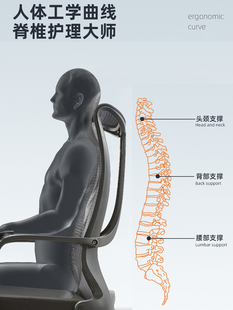 人体工学椅电脑椅家用办公椅舒适久坐升降可躺电竞学习椅午休网椅
