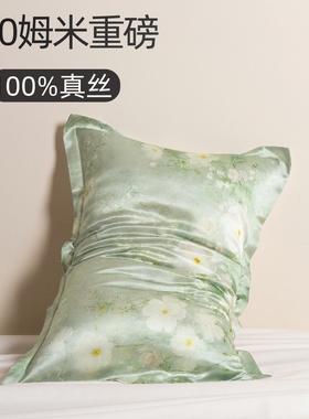 100%桑蚕丝重磅真丝提花枕套家用一对装48x74cm冰丝单个枕头套