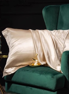 【外贸清仓】真丝枕套一对美容桑蚕丝枕头套枕芯内胆套冰丝枕巾