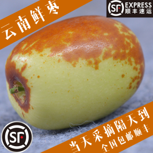 金丝枣子 蒙自特产冬枣 包邮 新鲜水果 航空 鲜枣 顺丰 云南 3斤装