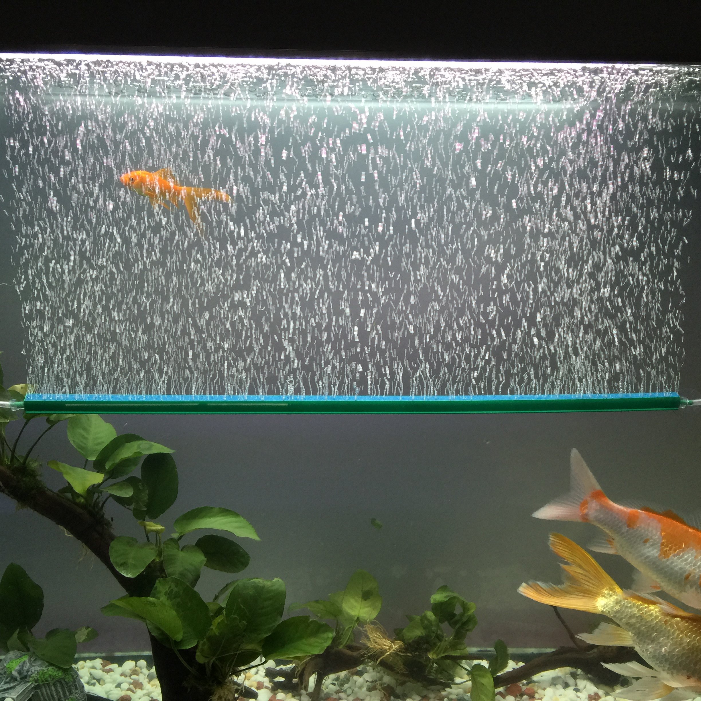 水族增氧气泵气泡石气条鱼缸气泡条气泡石造景气帘装饰纳米气盘石,宠物/宠物食品及用品,其它水族用具设备,淘宝优惠券,粉丝福利购,淘宝优惠卷