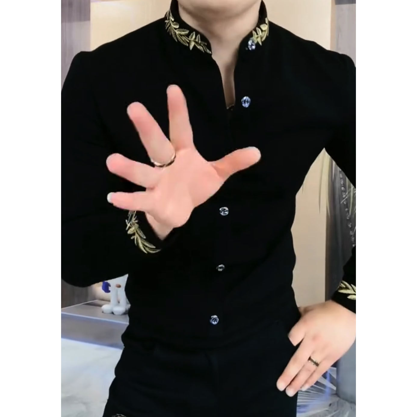 男士秋季中式上衣长袖时尚修身黑色潮流立领刺绣卫衣衬衫总裁款