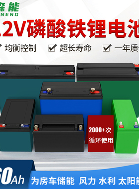 磷酸铁锂12V锂电池大容量50ah100 460AH太阳能房车摆摊蓄电池电瓶