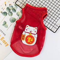 Большой чистый глаз