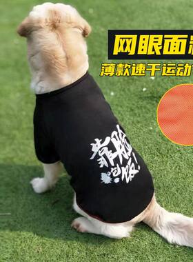狗狗衣服夏季背心大中型犬金毛拉布拉多萨摩耶防掉毛薄款宠物衣服