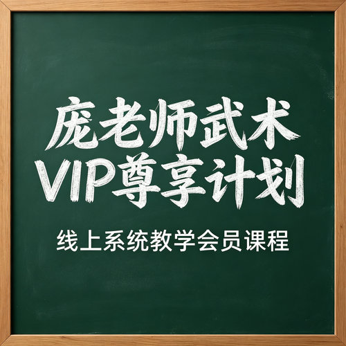 庞老师武术VIP课系统教学