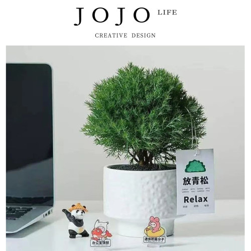 JOJO'SLIFEPD绿植客厅空气四季