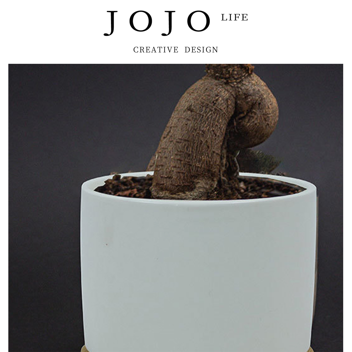 JOJO'SLIFEPD花盆印白瓷涂层图