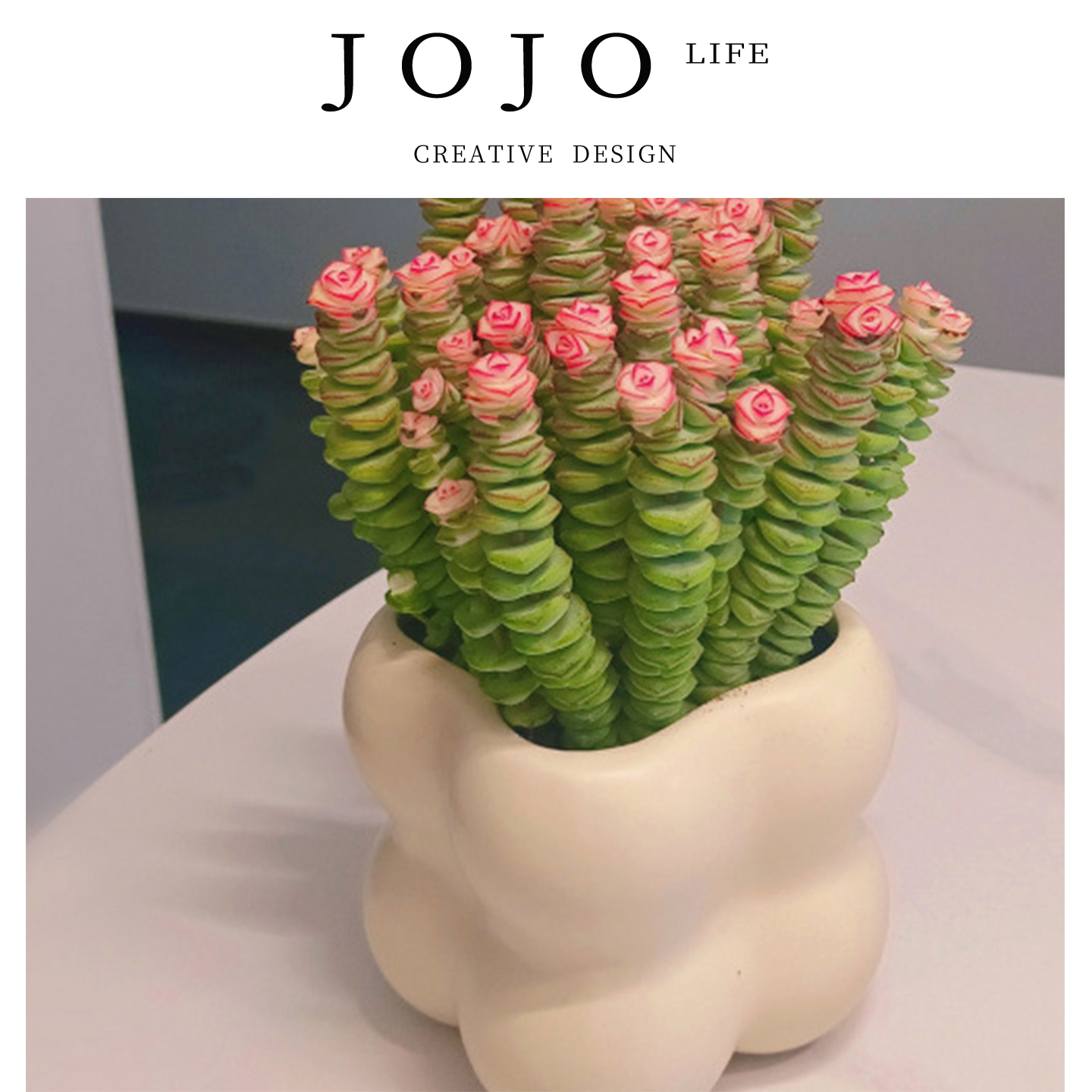 JOJO'SLIFEPD钱串桌面小盆栽