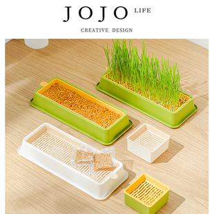 PD.scholar.貓 JOJO 士好 狗居家用品貓草盆栽貓草無土