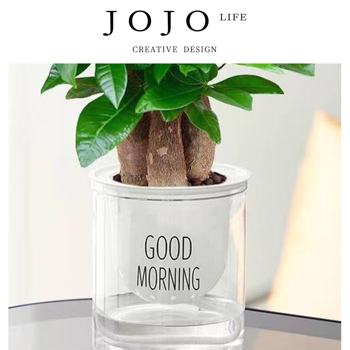 JOJO'SLIFEPD绿植阴办公桌盆栽