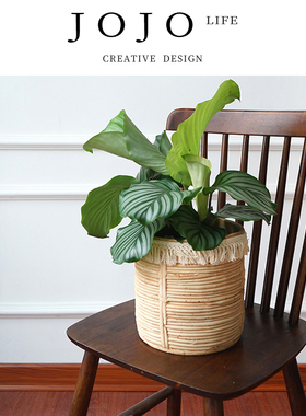 JOJO'S L. PD.role.北欧编织水泥花盆客厅仿藤编简约套盆 | 角色