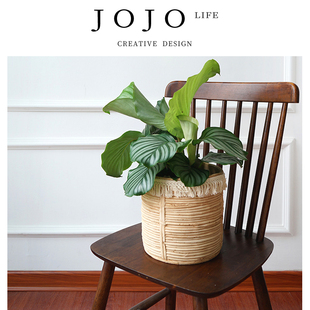 PD.role.北欧编织水泥花盆客厅仿藤编简约套盆 角色 JOJO