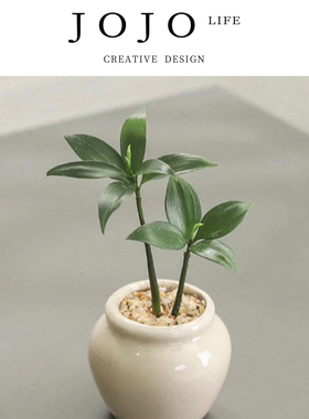 JOJO'S L. PD.Exhausting.竹柏盆栽客厅茶几好养花卉绿植  | 累宫