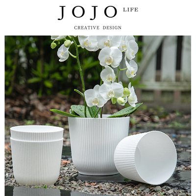 JOJO'SL.PD.蝴蝶兰塑料花盆