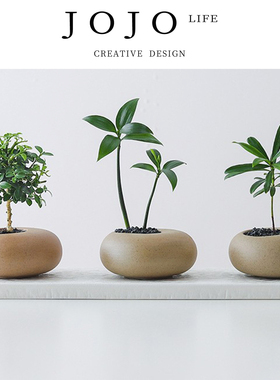 JOJO'S L. PD.some.绿植文竹盆栽创意迷你拇指工位绿植物 | 吾睦