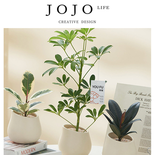 JOJO'S L. PD.Emblem.发财树北欧ins九里香绿植桌面盆栽 | 帜蕴