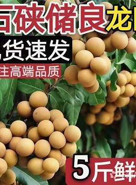 石硖储良龙眼甜价格实惠